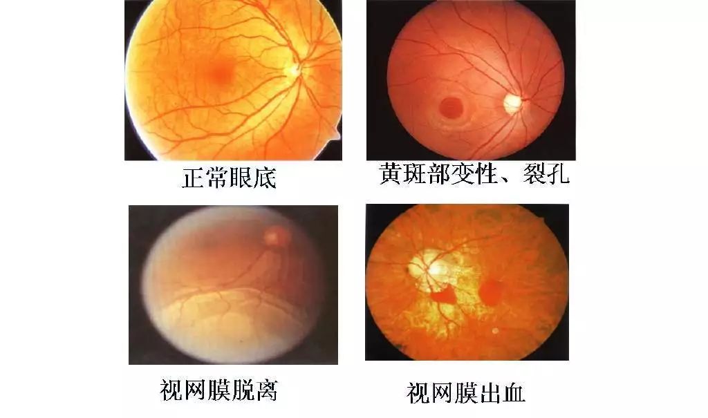 微信圖片_2025-10-04_150641_356 微信圖片_2025-10-04_150641_356